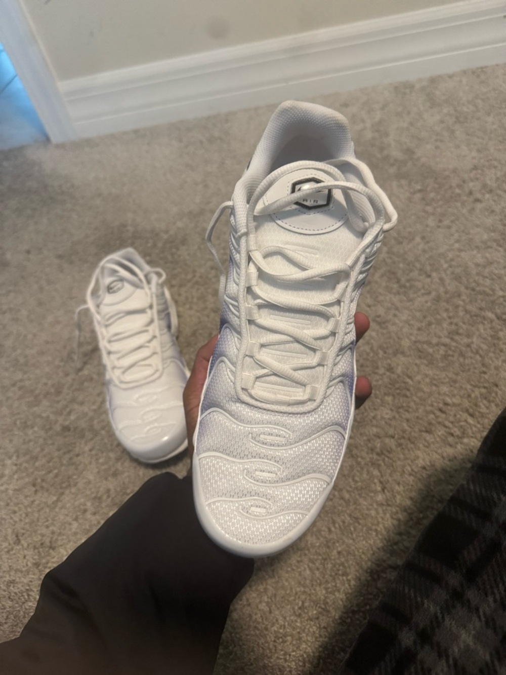 Nike Air Max Plus